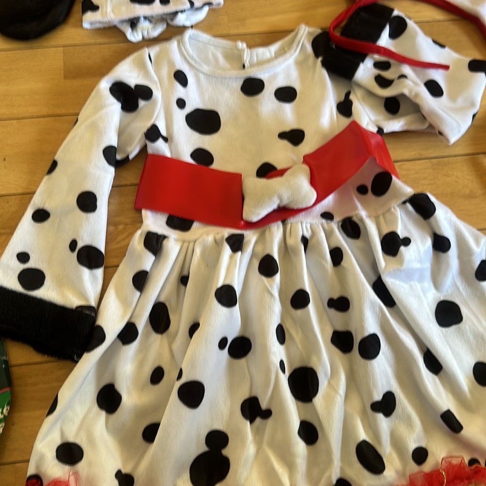 DRESS UP AMERICA - Picture 6 of 8